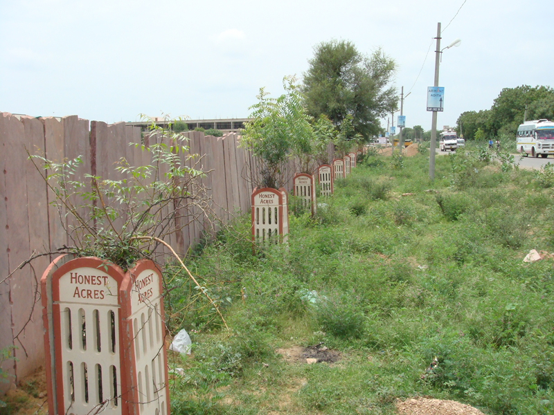 Plant trees